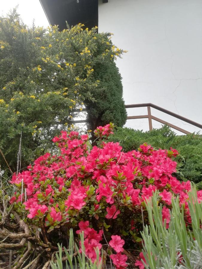 Giaveno Ollasio18 מראה חיצוני תמונה